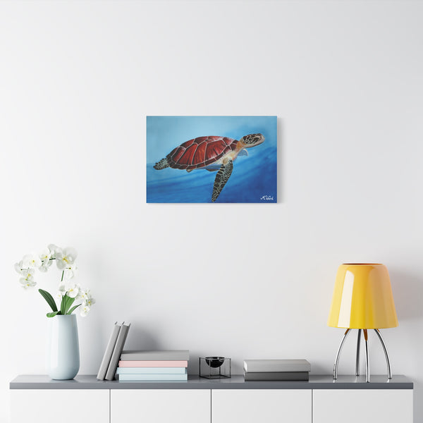 "Serenity" - Michella Creative