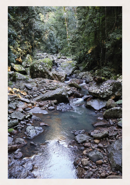 "WIldfall" - Michella Creative