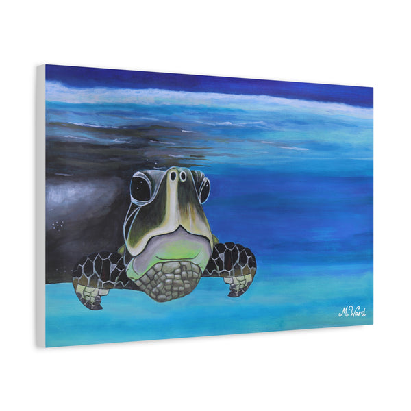 “Wisdom Keeper" - Michella Creative