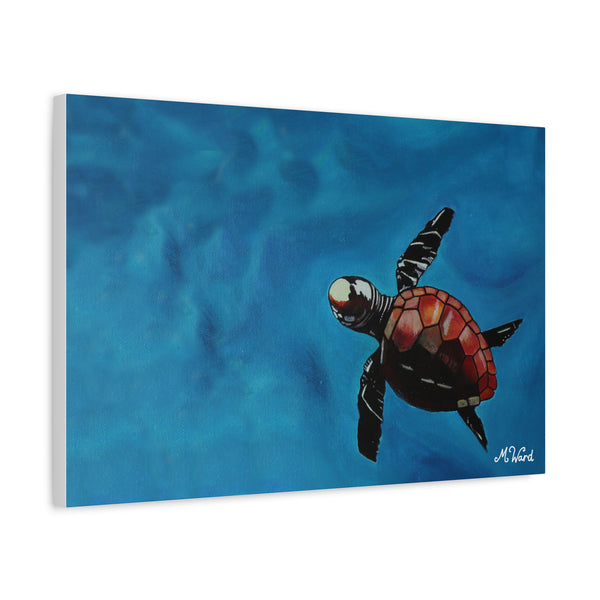 “Sacred Sea Baby” - Michella Creative