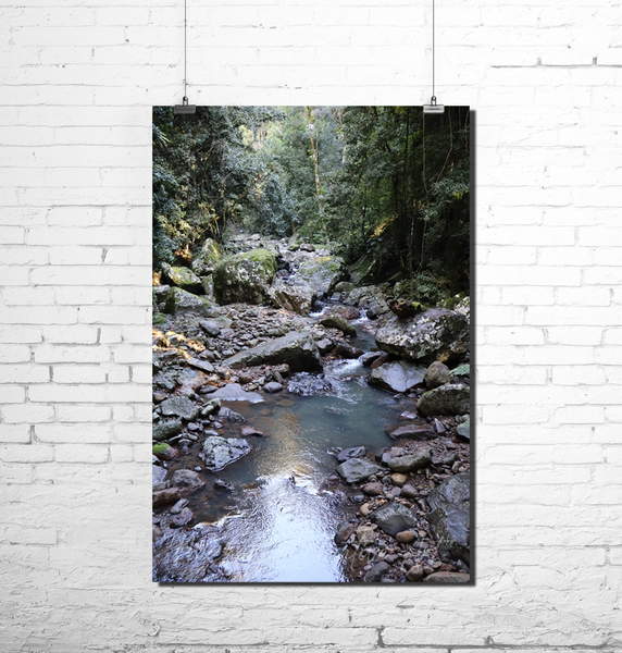 "WIldfall" - Michella Creative